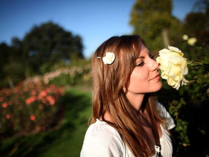 ¿Podrá el olfato luchar contra la obesidad?