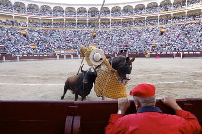 Una cursa de braus.