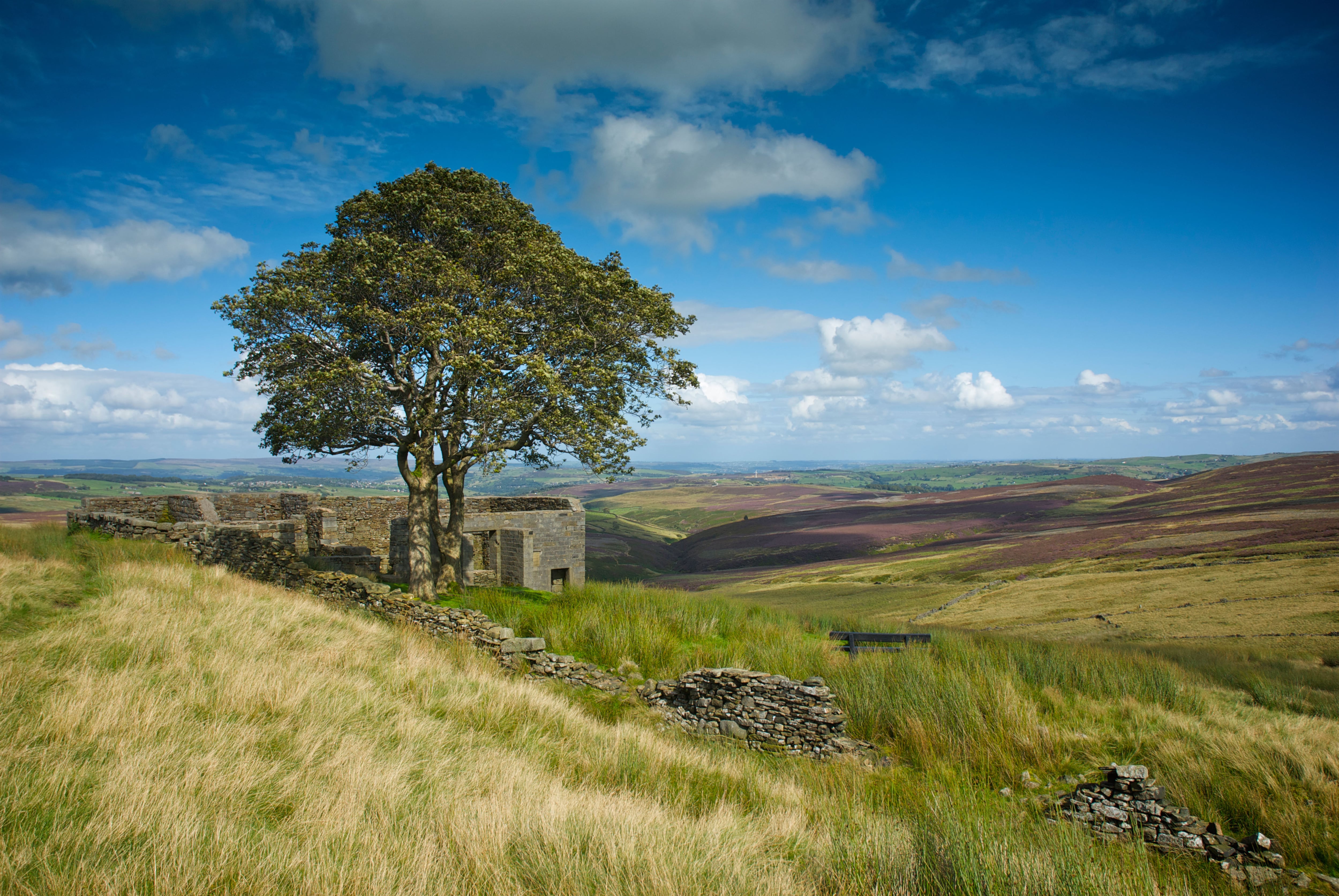 Viaje al corazón de ‘Cumbres Borrascosas’ con Espido Freire y EL PAÍS Viajes