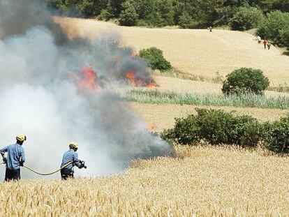 Agentes de los bomberos, ayer intentando apagar el fuego en un campo de cereal todavía sin segar.