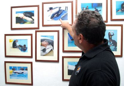 Javier Almunia, director adjunto de Loro Parque, explica las operaciones y los cuidados que se les aplican a las orca frente a la exposición de fotos del centro.