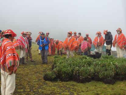 Hombres de la comunidad de Quelcanca, en Lares, se preparan para reforestar. En Perú hay 23 especies de polylepis que se conocen con varios nombres (queuña, quiniela, kewiña, keñua) que viven entre los 1.500 y los 5.000 metros sobre el nivel del mar.