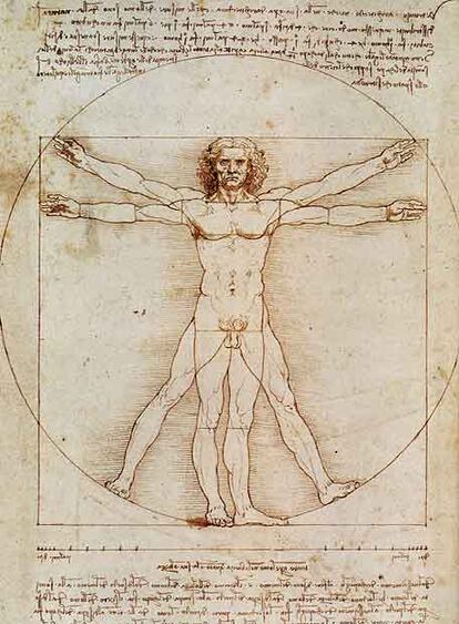 Dibujo del <i>Hombre de Vitrubio</i>, de Leonardo da Vinci, que se expone estos días en Bruselas.