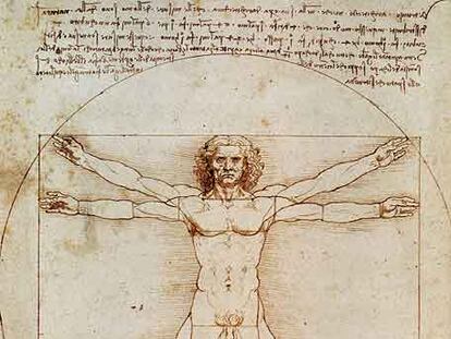 Dibujo del <i>Hombre de Vitrubio</i>, de Leonardo da Vinci, que se expone estos días en Bruselas.