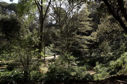 Antiguo jardín botánico de Barcelona.