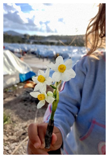 Qutaeba, refugiado sirio del campo, manda fotos de flores porque le sirven para olvidarse de su realidad. 