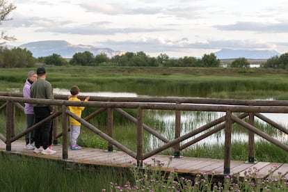 Un tramo de la ruta Las Albinas, que atraviesa el humedal de Los Juncares, en la reserva natural de la laguna de Fuente de Piedra.