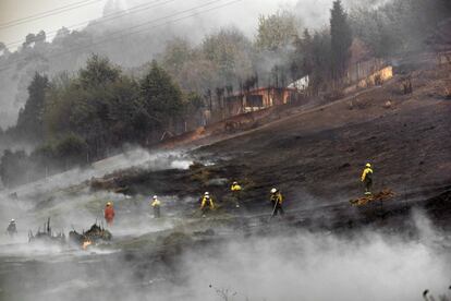 Destrozos causados por el fuego desatado en la localidad vizcaína de Berango.