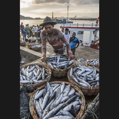 Bukhari o 'Ari', como él prefiere que le llamen, trabaja en el mercado principal de Lampulo, en Banda Aceh. Compra el género de los pescadores que acaban de regresar de la mar. Cuenta que él escapó del tsunami de 2004, pero perdió a siete miembros de su familia, incluyendo dos de sus hijos. Recuerda que 44 días después del desastre, volvió a trabajar. "Tuvieron que pasar seis años para que la industria pesquera volviera a la normalidad. Gracias a la ayuda recibida, con el apoyo del gobierno y el duro trabajo de los pescadores, combinados con la moral alta y resistencia del pueblo de Aceh, la industria ha crecido de manera exponencial en los últimos cuatro años. Después del tsunami, hay muchos más peces en el mar y los pescadores capturan toneladas para vender. Banda Aceh perdió muchos de estos trabajadores en el tsunami, pero los que sobrevivieron y continuaron, rápido estaban de nuevo en pie y el negocio de la pesca se hizo más grande de lo que era antes del desastre", afirma Ari.