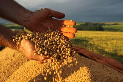 Colheita de grãos cresceu 130% e logística não acompanhou