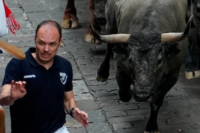 Un toro de la ganadería de José Escolar Gil, este sábado por las calles de Pamplona. 
