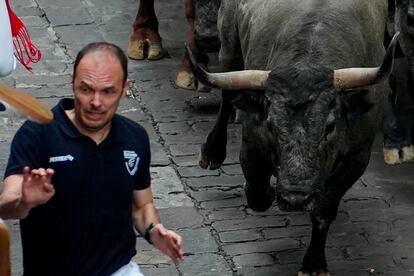 Un toro de la ganadería de José Escolar Gil, este sábado por las calles de Pamplona. 
