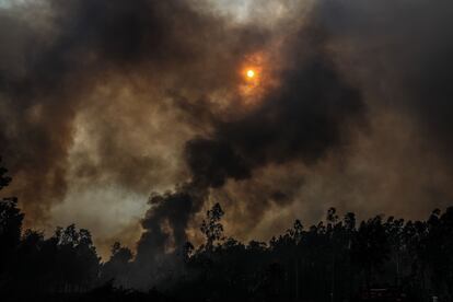 Una vista del bosque incendiado en Albergaria-a-velha, Portugal, este lunes.