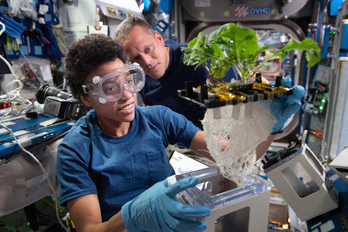 Zero gravity and a lot of spice. That’s what it’s like to eat in space ...