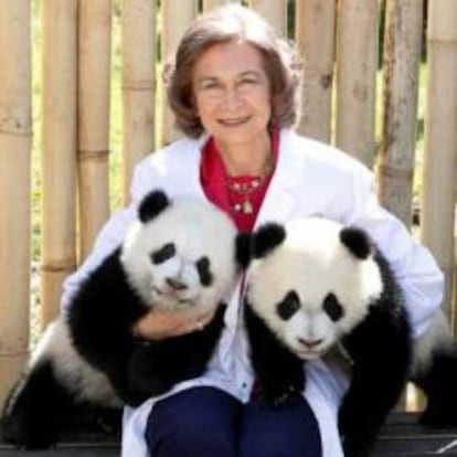 Doña Sofía con las dos crías de panda en el Zoo Aquarium de Madrid