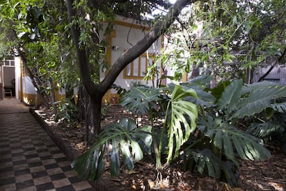 Jardín reformado de la casa del escritor Ernesto Sabato. Tras su muerte parecía una jungla por la dejadez del escritor. Luciana, su nieta y arquitecta, se encargó de reformarlo