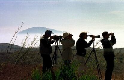 Observadores de aves en el estrecho de Gibraltar.