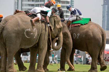 Varios jugadores disputan un partido de polo sobre elefantes el pasado 8 de marzo, en la ciudad de Bangkok (Tailandia).