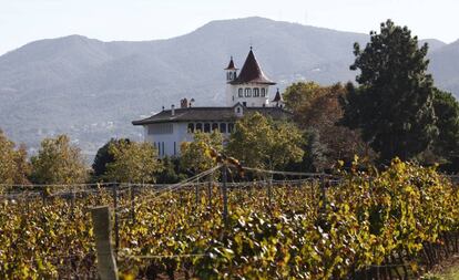 Campos de Cavas Codorníu en Sant Sadurní d’Anoia (Barcelona). 