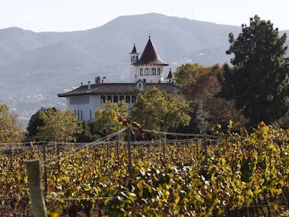 Campos de Cavas Codorníu en Sant Sadurní d’Anoia (Barcelona). 