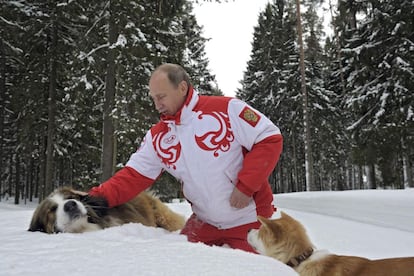 Los perros Buffy y Yume, acompañan a Vladimir Putin durante su paseo en su residencia de campo en Novo-Ogarivo, cerca de Moscú.