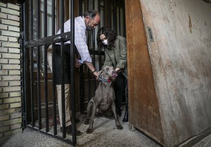 Ayuso acaricia a un perro durante su visita a la hípica de la Venta de Rubia.