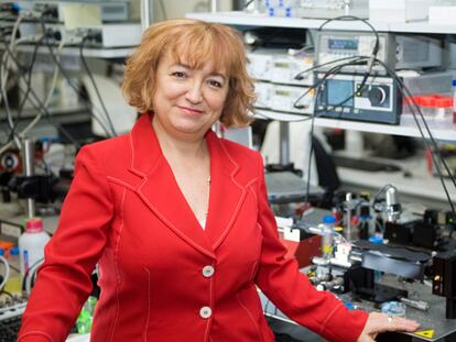 Laura Lechuga, del Instituto Catalán de Nanociencia y Nanotecnología.