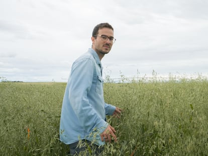 David Ruiz, responsable técnico de Seguimiento de Cultivos en Grupo Pascual, en un campo de soja.