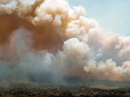 Incendio forestal en New Brunswick (Canadá).