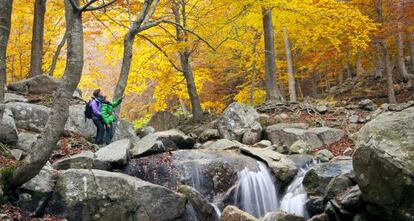 Parque natural del Montseny (Barcelona).