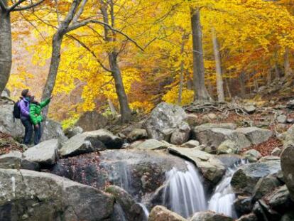 Parque natural del Montseny (Barcelona).