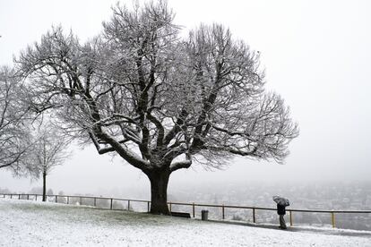 Un paisaje recién cubierto de nieve en el área de St. Gall (Suiza) el 6 de noviembre de 2017.