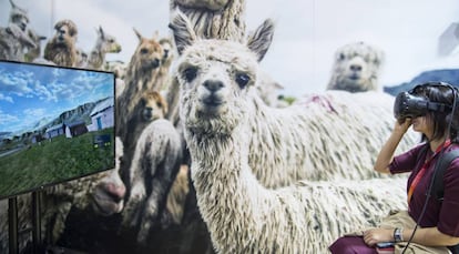 Momento de la primera Exposición Internacional de Importaciones de China (CIIE, por sus siglas en inglés), celebrada a principios de noviembre de 2018 en Shanghái.