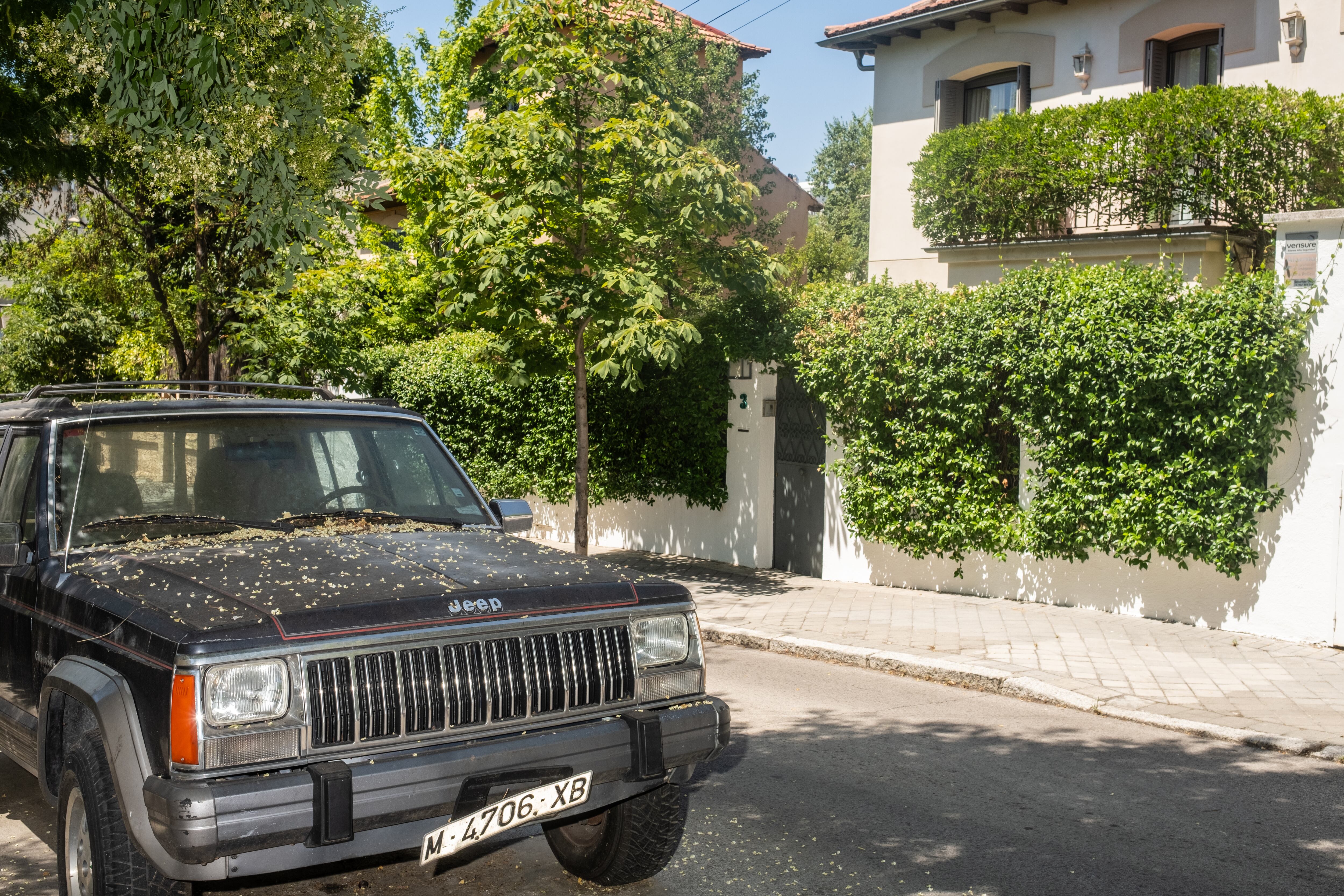 Un viejo Jeep todoterreno en la colonia Los Pinares.