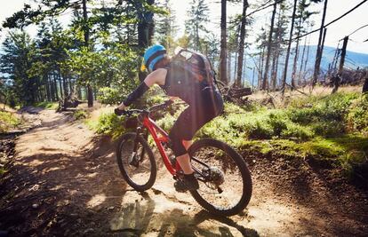Excursión en mountain bike en un bosques de Polonia.