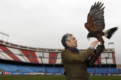 Jorge Castaño, con su águila <i>Bárbara</i> en el Vicente Calderón.