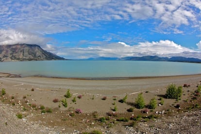 Un alto en el camino camino a Alaska.