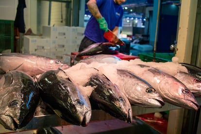 Cuando se descarta la cabeza del pescado, esta se convierte en SANDACH (Subproductos Animales No Destinados a Consumo Humano). Estas partes deben depositarse en contenedores específicos y pueden aprovecharse en otros sectores, como la cosmética o la elaboración de piensos para animales.