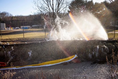 An aeration system sprays part of a tree on February 24, 2023 in East Palestine, Ohio.