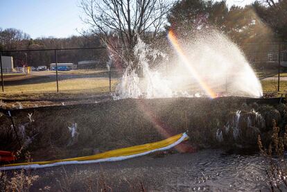 An aeration system sprays part of a tree on February 24, 2023 in East Palestine, Ohio.