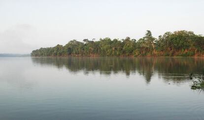 Vista de una cocha (laguna de la selva amazónica) en el área protegida de Tamshiyacu-Tahuayo, en Peru.