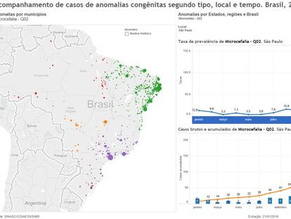 Dados de microcefalia em S&atilde;o Paulo registrados no SINASC.