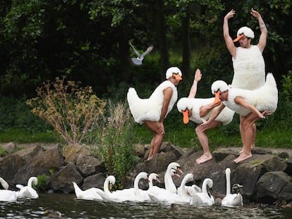 El otro lago de los cisnes