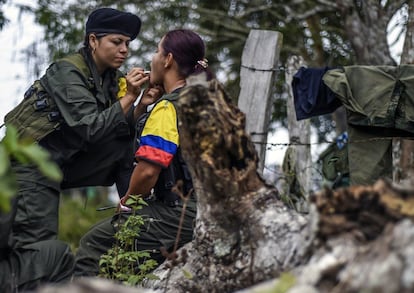 Manuela, a member of the Revolutionary Armed Forces of Colombia (FARC), makes up a mate at a camp in the Colombian mountains on February 18, 2016. Many of these women are willing to be reunited with the children they gave birth and then left under protection of relatives or farmers, whenever the peace agreement will put an end to the country's internal conflict.    AFP PHOTO / LUIS ACOSTA