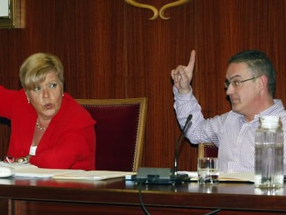 Milagrosa Martínez en la imagen votando junto al portavoz del grupo popular Rafael Sanz por su próximo procesamiento en una rama del caso Gürtel.