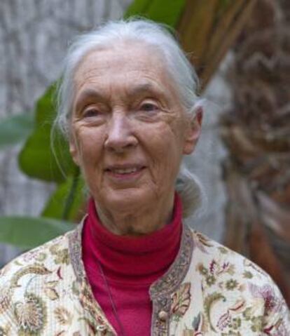 La primatóloga inglesa Jane Goodall posa hoy momentos antes de dar una rueda de prensa en Barcelona para relanzar su campaña "Movilízate por la selva" de reciclaje de teléfonos móviles en el marco del Mobile World Congress y para sumarse a la denuncia interpuesta por grupos ecologistas contra la granja de macacos de Camarles (Tarragona).