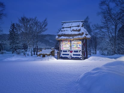 Sapporo, Hokkaido, Japón. (Roadside Lights III)
