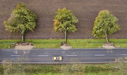 Vista aérea de árboles arrancados en una carretera cerca de Hildesheim, Alemania.