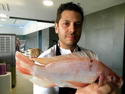 A contracorriente: Sollo y la nueva cocina de río