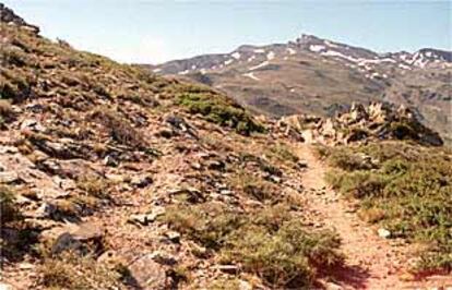 Sendero de Sierra Nevada que conduce hasta la Peña del Perro